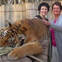 deborah-wilson-332 avatar