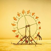 laura.ryan.39 avatar