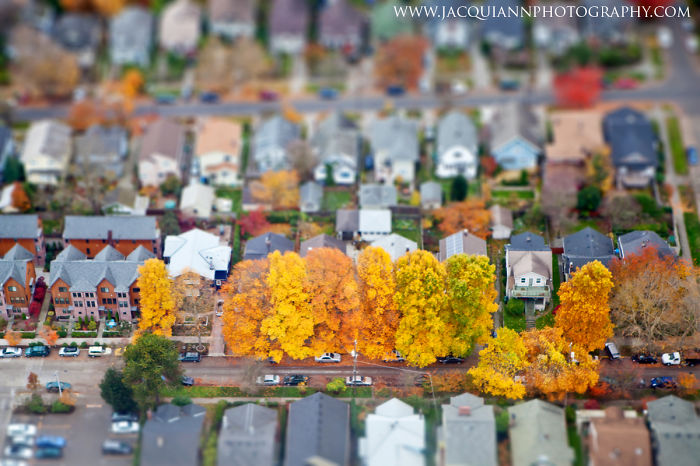 Tiny Seattle: I Photographed Pacific Northwest From A Seaplane