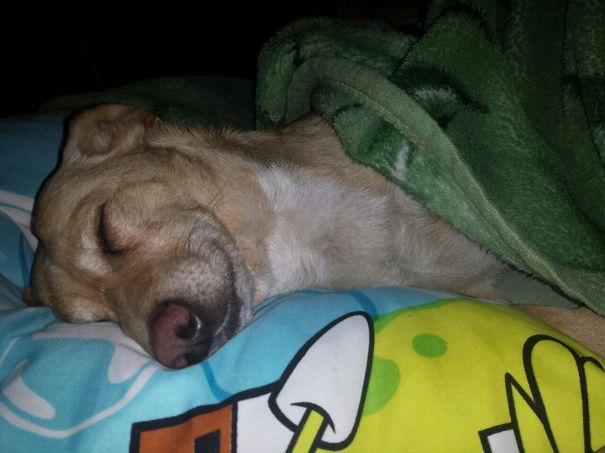 Looks Like Mimi Is Dreaming Of Something Nice