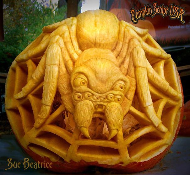 900lb Pumpkin Carving Raises Awareness Of Elephant Killings 900lb Pumpkin Carving Raises Awareness Of Elephant Killings