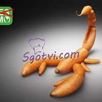 daniela.yosifova.9 avatar