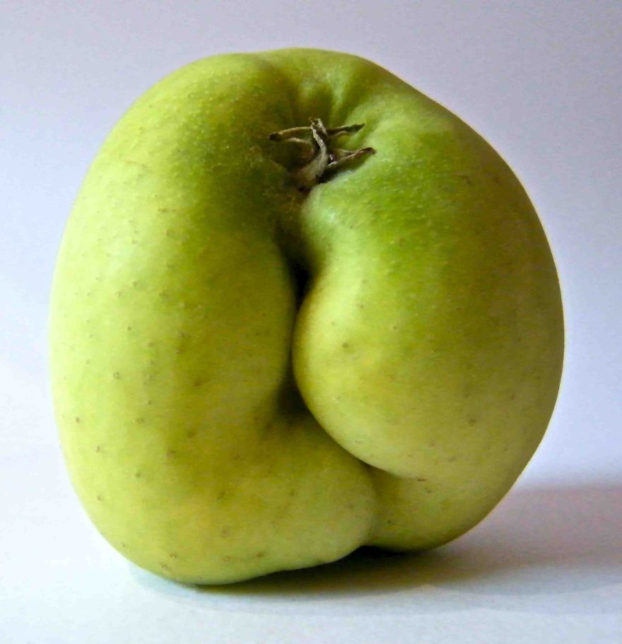 Freak Apples - Anomelie