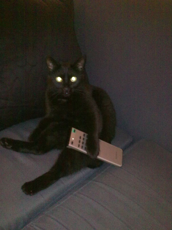 Stole The Remote