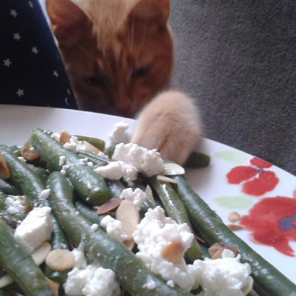 Green Beans! :-d
