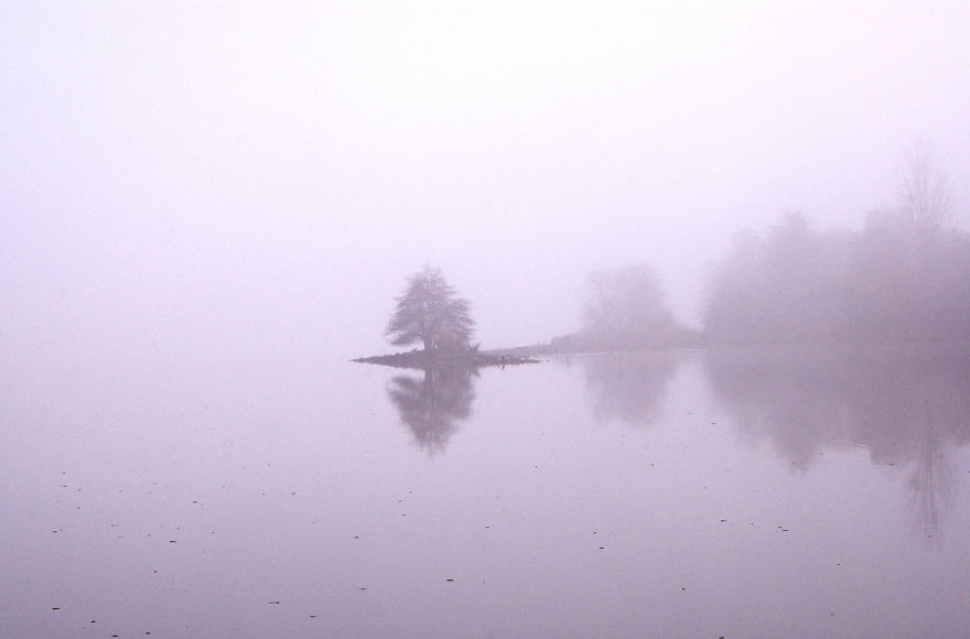 Foggy Morning In Folsom