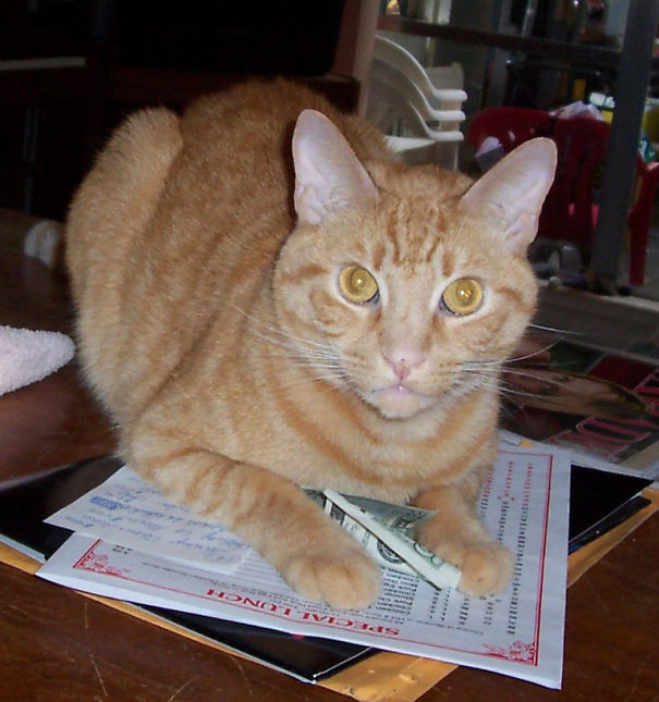 I Learned Where The Money Missing From My Purse Was Going.