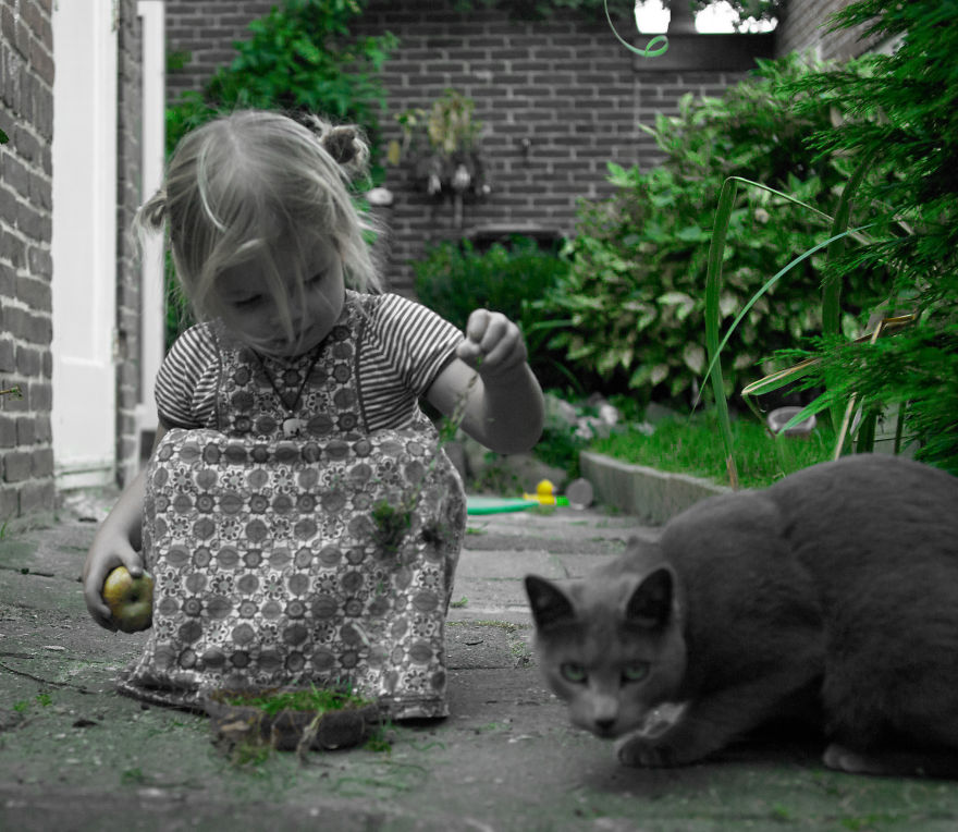 Kiara Tries To Talk Her Russian Blue Cat Boris Into Eating Grass. He Is Not Convinced.