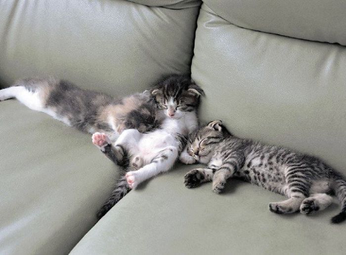 Tired After Having A Long Day