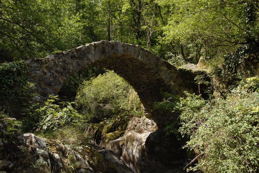 Ancient mystical stone bridge surrounded by lush greenery, creating a magical pathway in a serene natural forest setting.