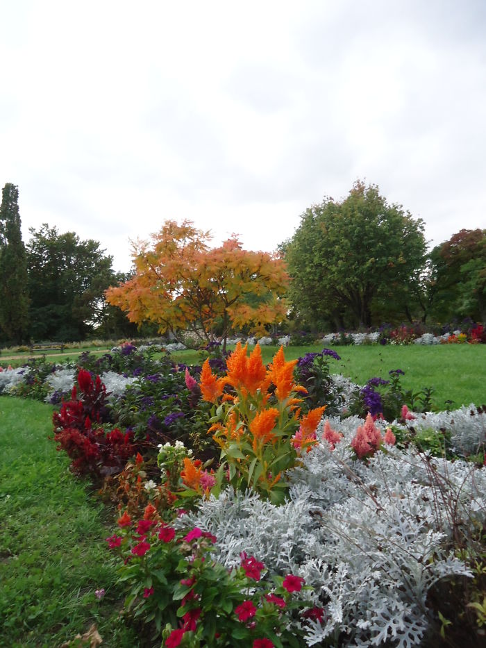 Colorful Carpet Of The Earth