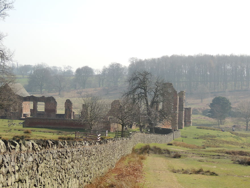 Home Of The 9 Day Queen