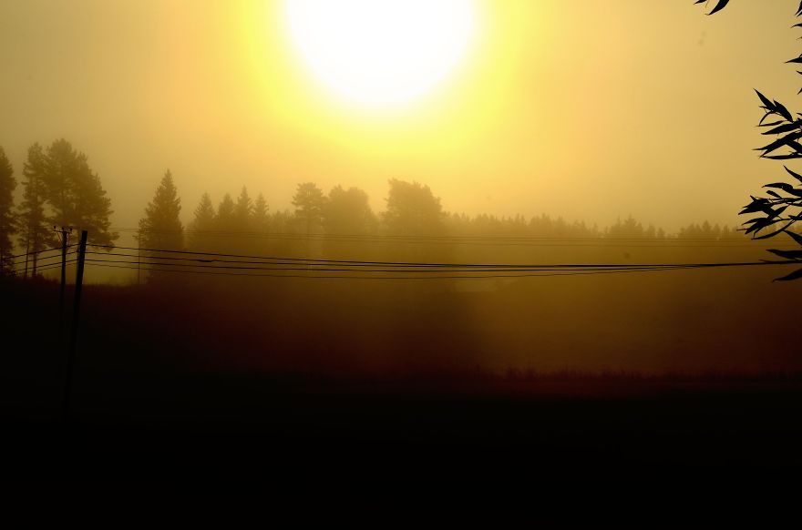 Foggy Countryside And Early Morning Sunshine