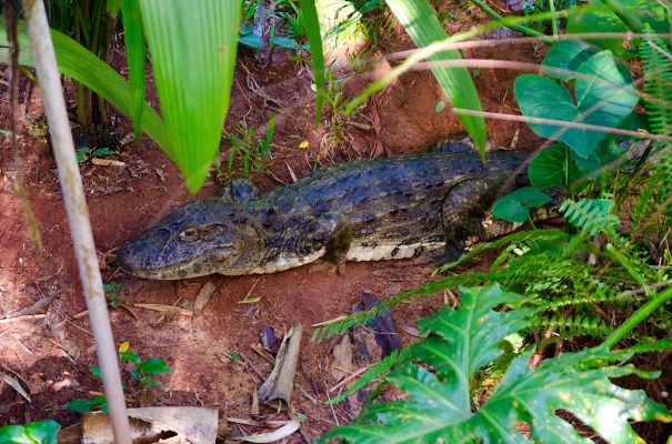 I Remember Thinking To Run Or To Take A Photo. Had To Change Pants After That..