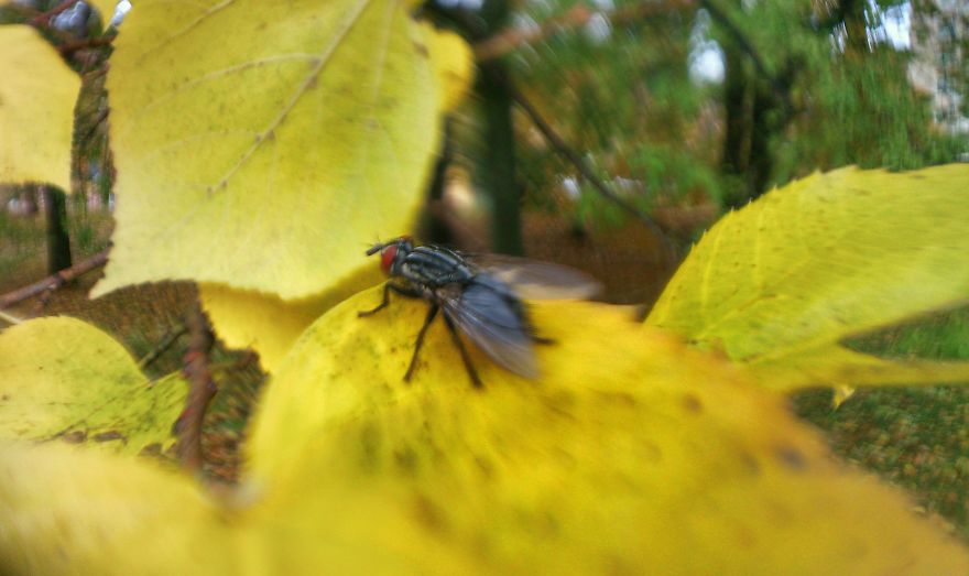 Autumn Just Flies By...