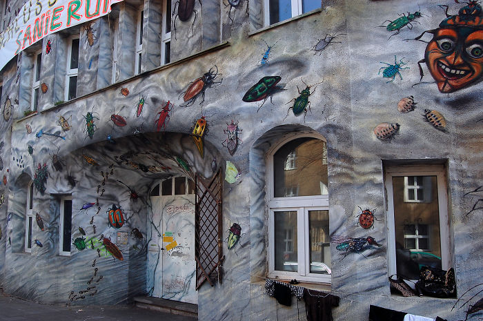 Duesseldorf Keifernstrasse, Creepy-crawly House