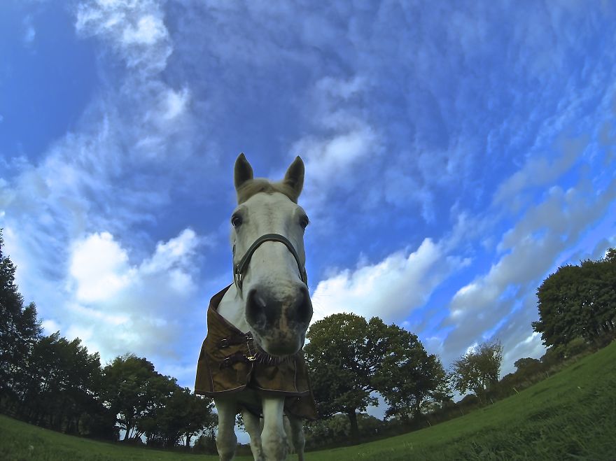 Hooty Says "what Are You Doing"