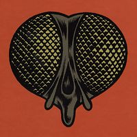 calvinvandermerwe avatar