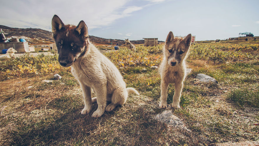 I Visited Greenland Off-Season And Had The Chance To Hike Everywhere All Alone I Visited Greenland Off-Season And Had The Chance To Hike Everywhere All Alone