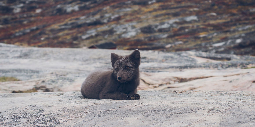 I Visited Greenland Off-Season And Had The Chance To Hike Everywhere All Alone I Visited Greenland Off-Season And Had The Chance To Hike Everywhere All Alone