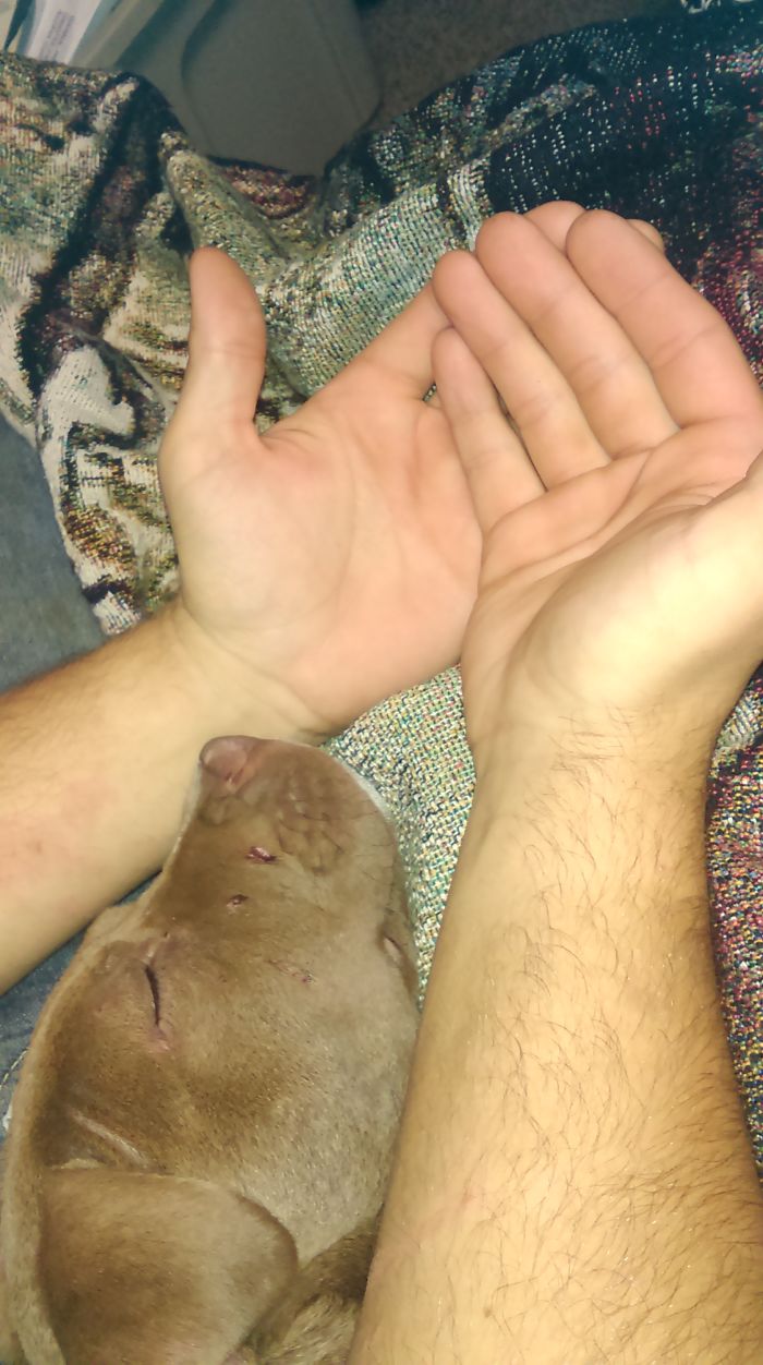 Briar And My Mans Hands.