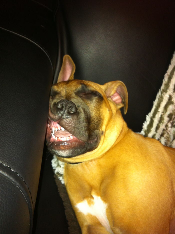 He's So Beautiful When He Sleeps.