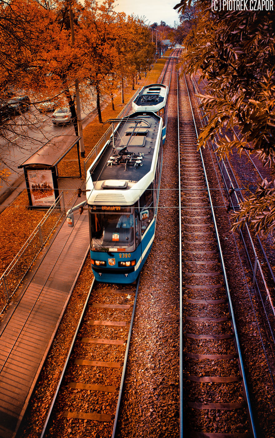 Magical Autumn In Poland.