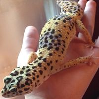 54344631ca5a7 avatar