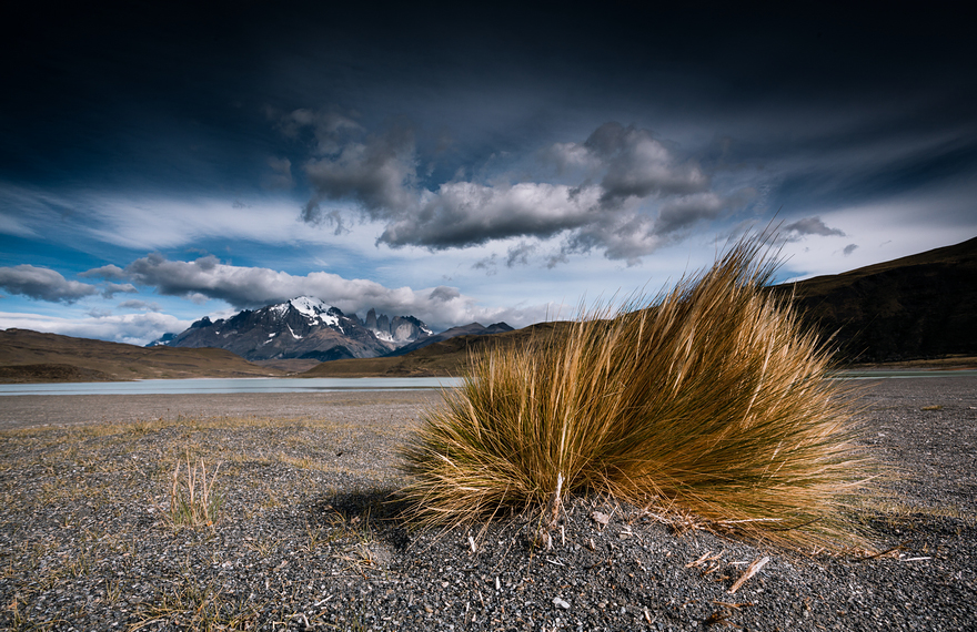 I Spent 2 Days In Torres Del Paine - The Most Beautiful National Park in Chile I Spent 2 Days In Torres Del Paine - The Most Beautiful National Park in Chile
