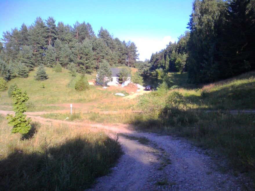 In The Forest, Poland