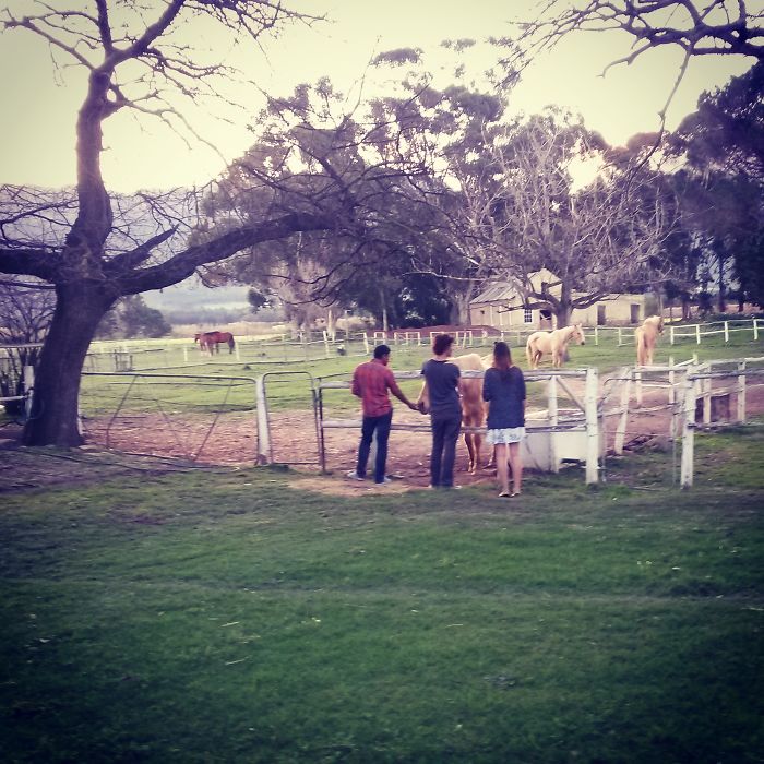 Montpellier Winefarm, Tulbach - South Africa