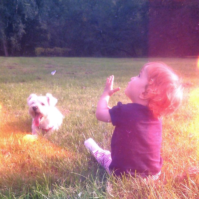 Circle Of Angels, Lake Of Tata, Hungary
