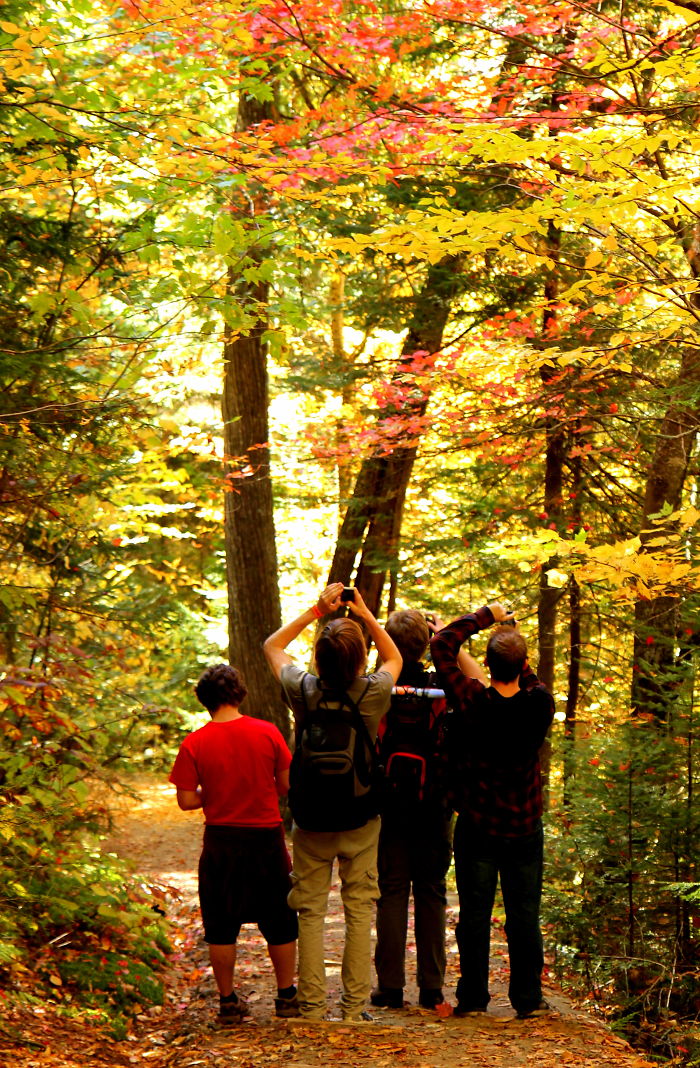 Laurentides, Qc, Canada