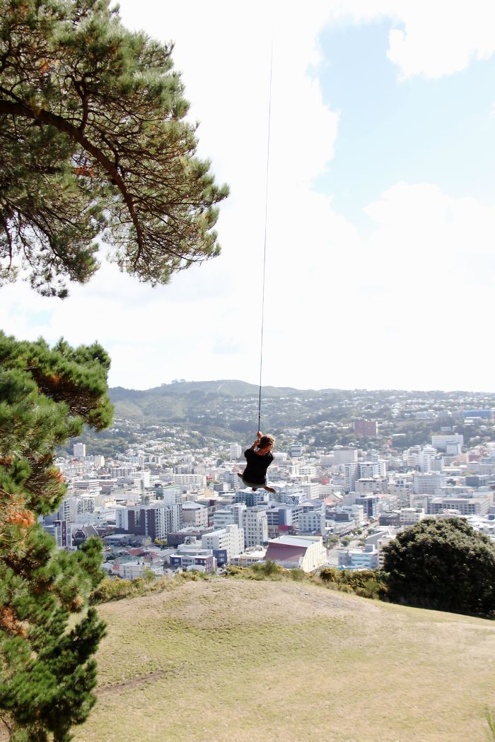 Mt. Victoria Tree Swing Overlooking Wellington, Nz