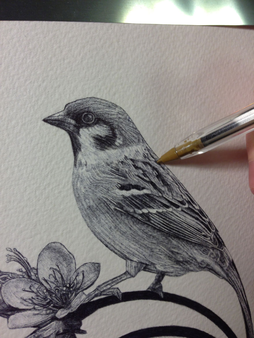 Photorealistic Pictures Drawn With A Ballpoint Pen Photorealistic Pictures Drawn With A Ballpoint Pen
