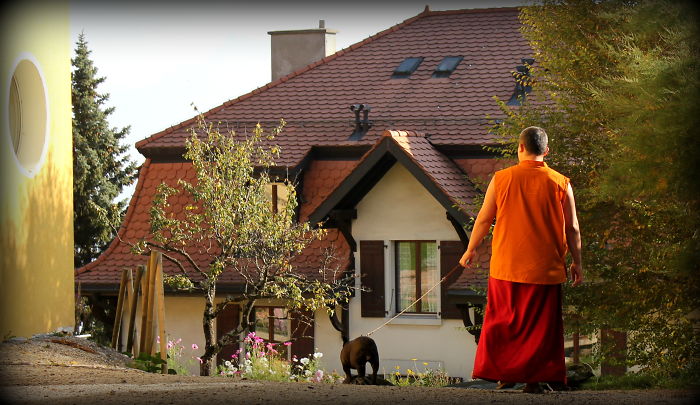 Buddhist Monastery In Vevey, Switzerland