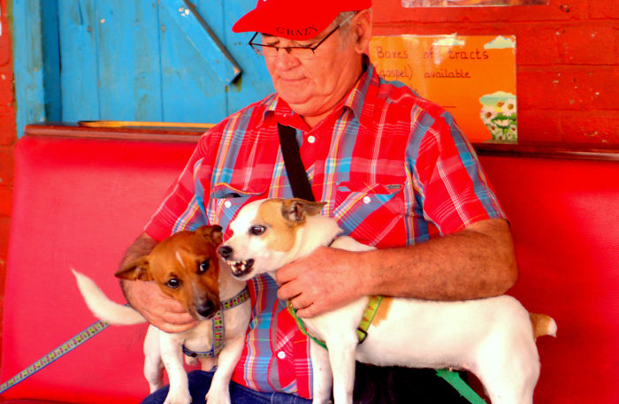 Competeing For Attention.