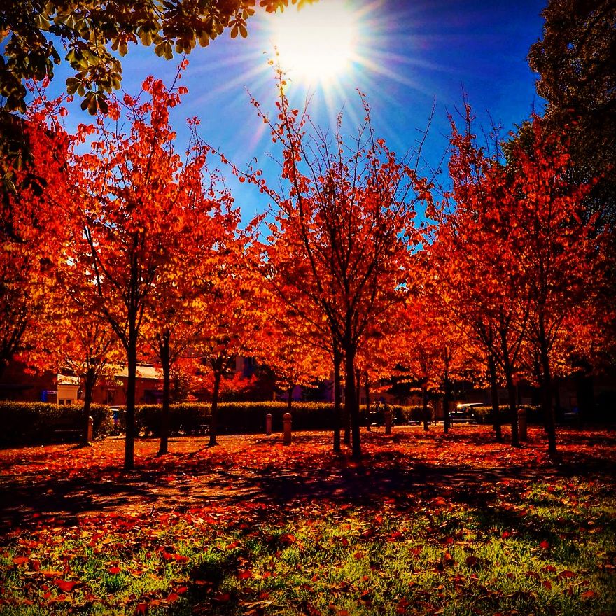 Autumn's Colors In Jönköping/sweden