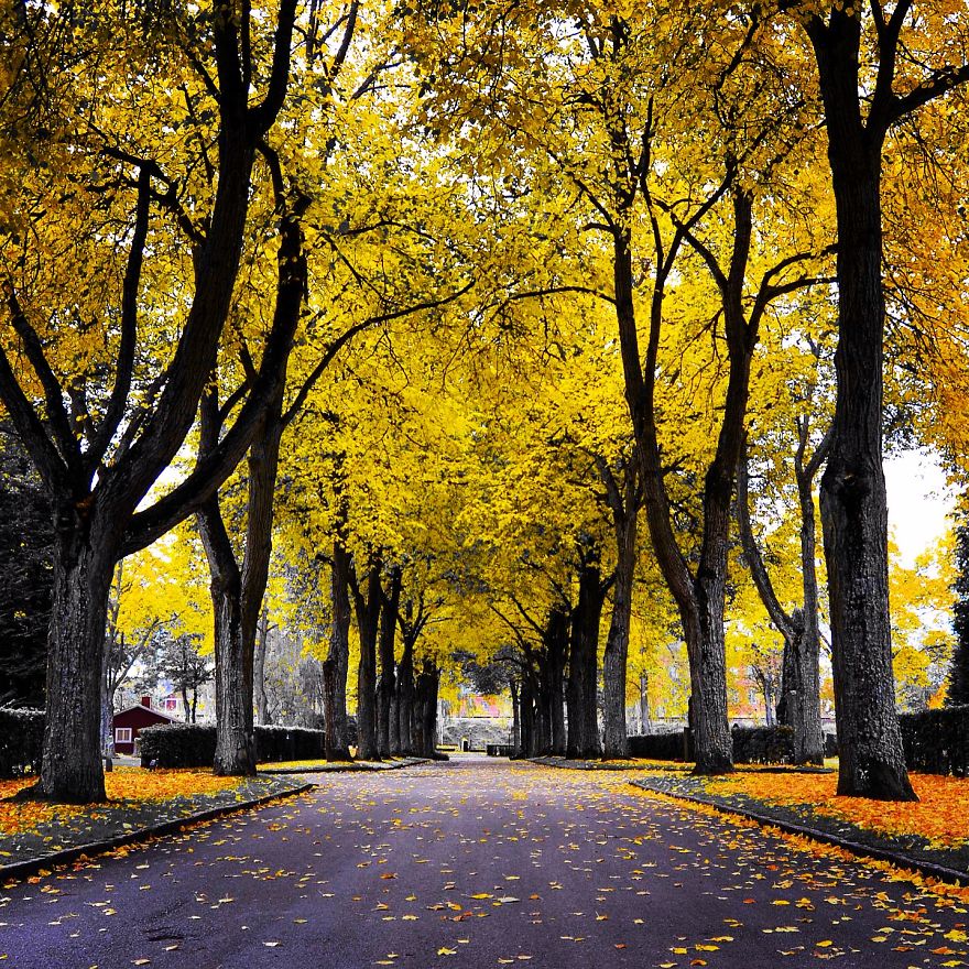 Autumn's Colors In Jönköping/sweden