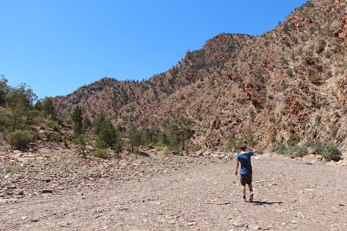 Exploring In The Northern Flinders Ranges, South Australia