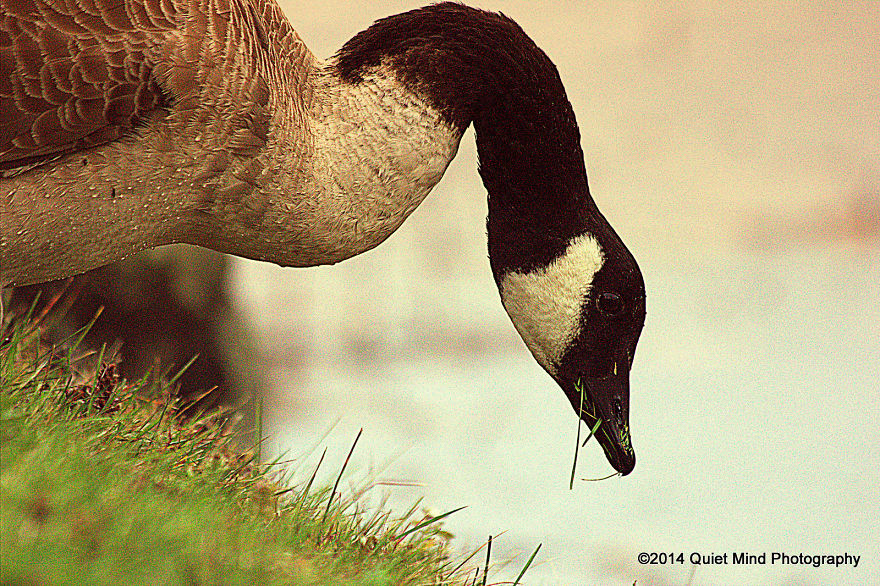 A Pause In My Travels