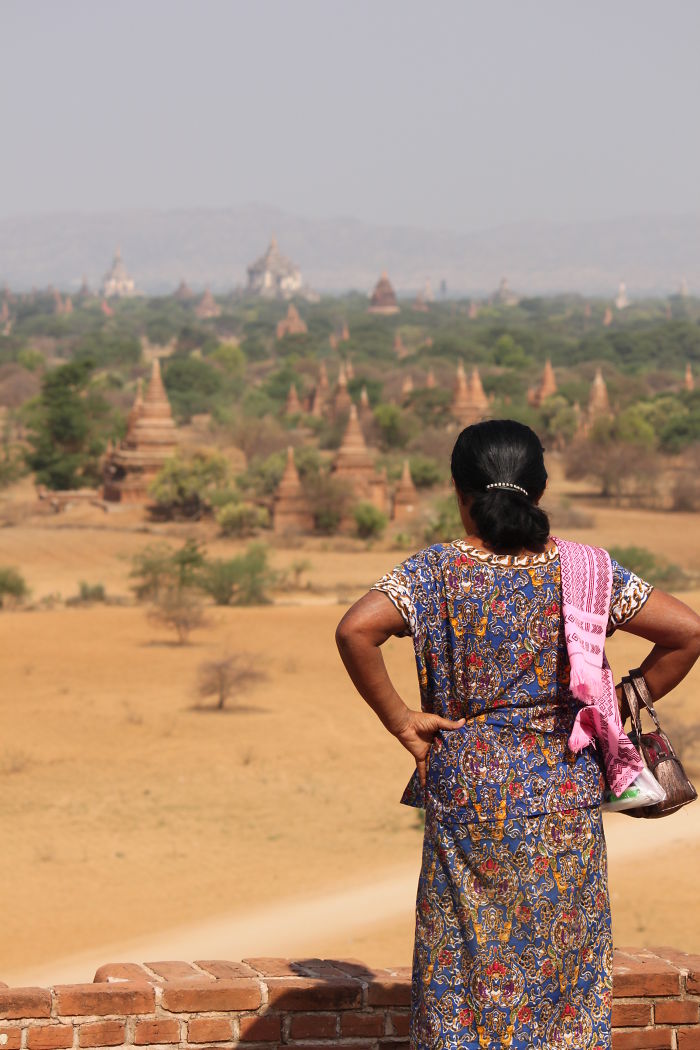 Which One To Choose From...