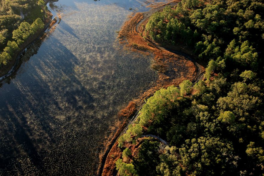 Morning Fog Over The Florida Lake, Usa