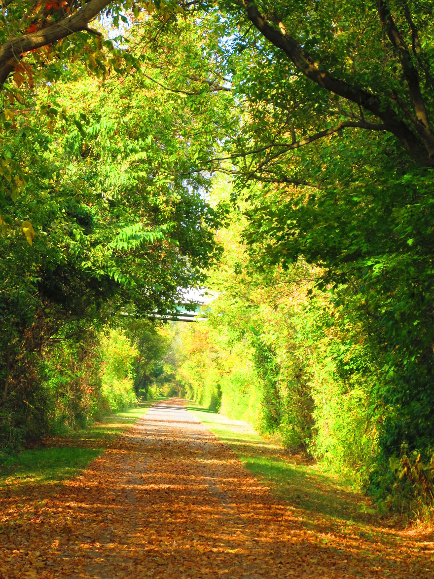October 2nd 2014 In Se Ohio.