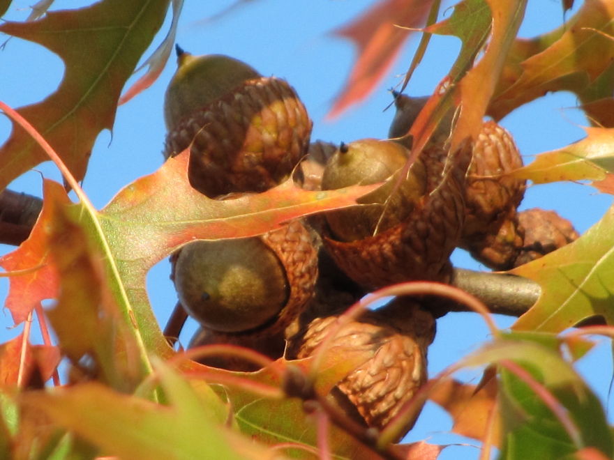 October 2nd 2014 In Se Ohio.