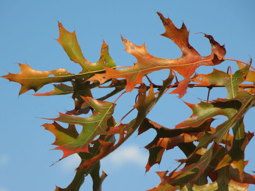 October 2nd 2014 In Se Ohio.