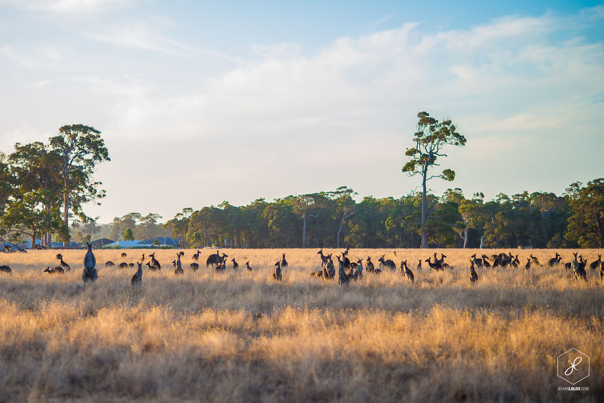 I Traveled 40,000km Around Australia And Brough Back These Stunning Photos I Traveled 40,000km Around Australia And Brough Back These Stunning Photos