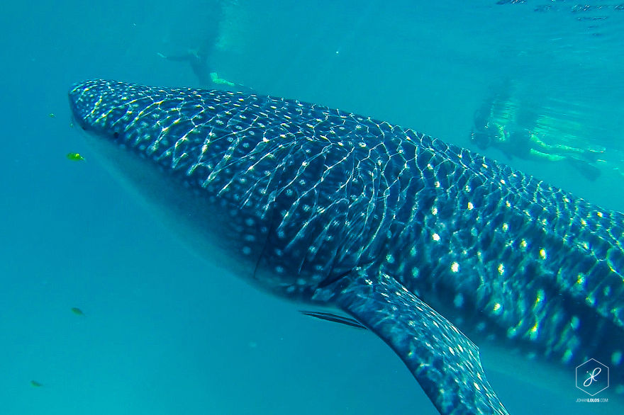 I Traveled 40,000km Around Australia And Brough Back These Stunning Photos I Traveled 40,000km Around Australia And Brough Back These Stunning Photos