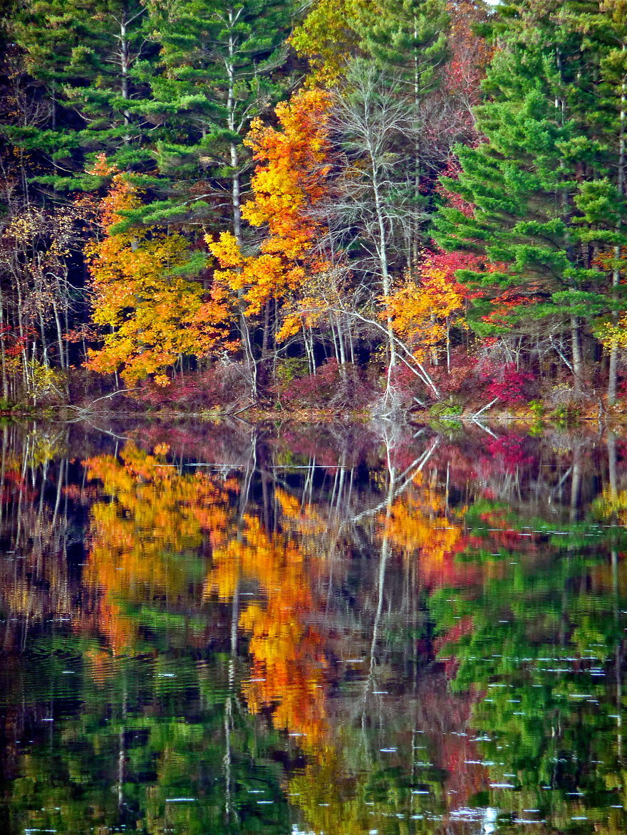 Fall Reflections