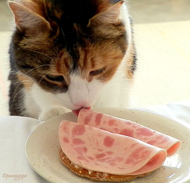 Misu And My...hmm...her Sandwich ;)